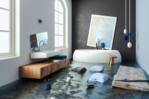Best Local water damage restoration  in Santa Anna, TX