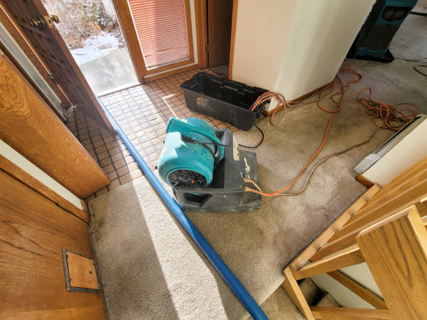 Best Water damage restoration cost  in Santa Anna, TX