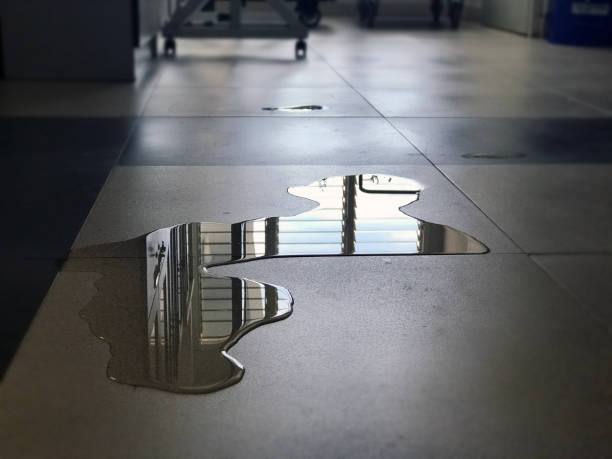Best Water damage restoration experts  in Santa Anna, TX