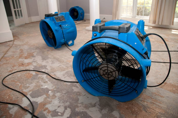 Best Flood restoration services  in Santa Anna, TX
