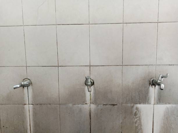 Best 24-hour water damage restoration  in Santa Anna, TX