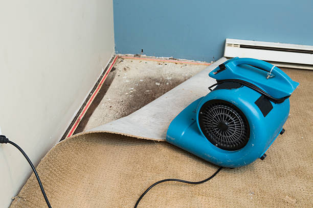 Best Water damage cleanup near me  in Santa Anna, TX